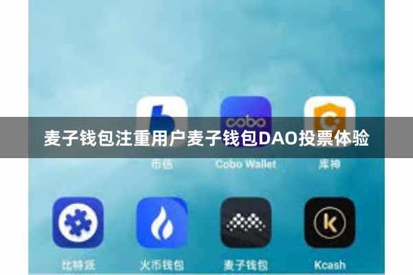 麦子钱包注重用户麦子钱包DAO投票体验