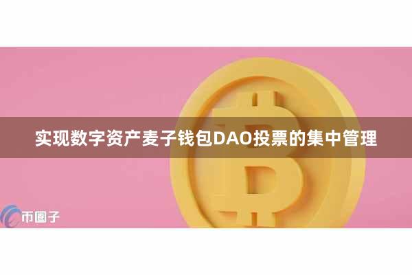 实现数字资产麦子钱包DAO投票的集中管理