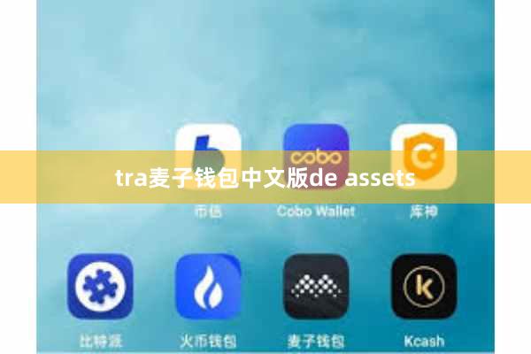 tra麦子钱包中文版de assets
