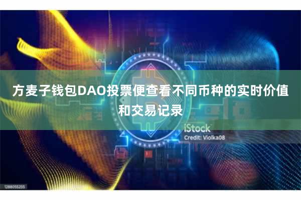 方麦子钱包DAO投票便查看不同币种的实时价值和交易记录