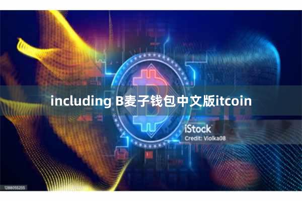 including B麦子钱包中文版itcoin