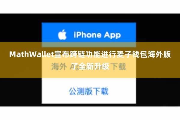 MathWallet宣布跨链功能进行麦子钱包海外版了全新升级