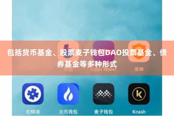 包括货币基金、股票麦子钱包DAO投票基金、债券基金等多种形式