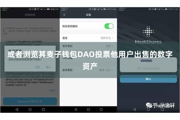 或者浏览其麦子钱包DAO投票他用户出售的数字资产