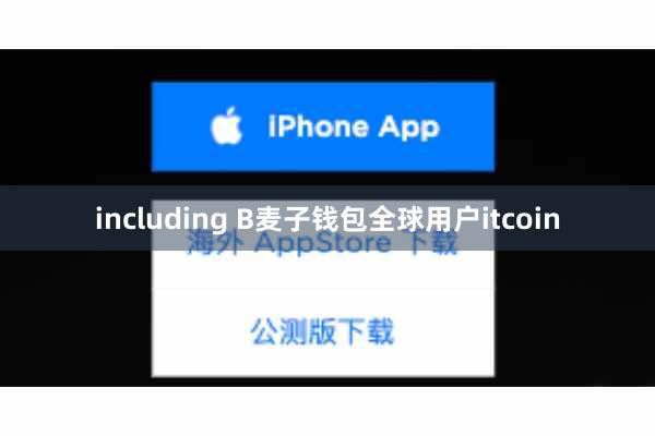 including B麦子钱包全球用户itcoin