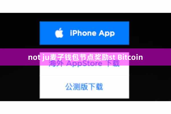 not ju麦子钱包节点奖励st Bitcoin