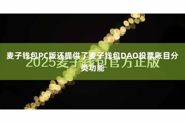 麦子钱包PC版还提供了麦子钱包DAO投票账目分类功能