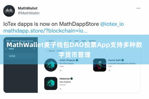 MathWallet麦子钱包DAO投票App支持多种数字货币管理