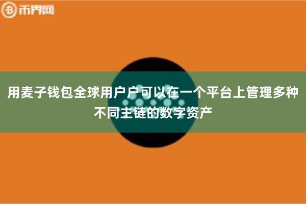 用麦子钱包全球用户户可以在一个平台上管理多种不同主链的数字资产