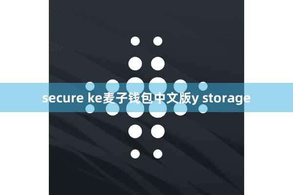 secure ke麦子钱包中文版y storage