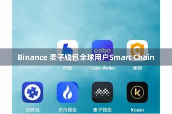 Binance 麦子钱包全球用户Smart Chain