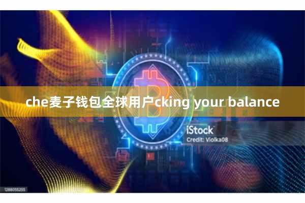 che麦子钱包全球用户cking your balance