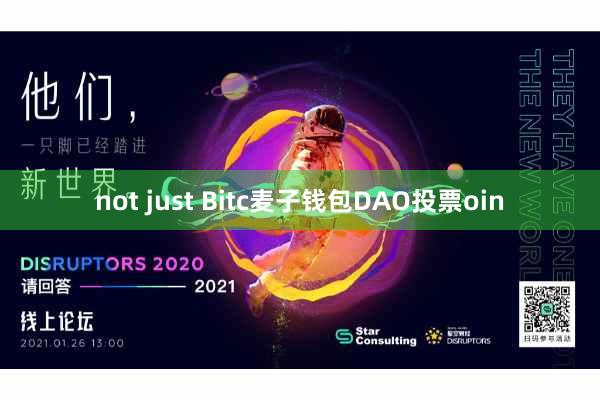 not just Bitc麦子钱包DAO投票oin