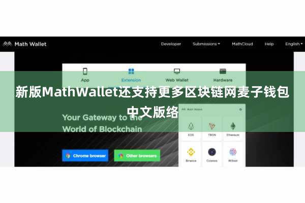 新版MathWallet还支持更多区块链网麦子钱包中文版络