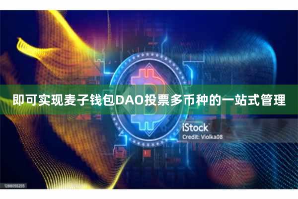 即可实现麦子钱包DAO投票多币种的一站式管理