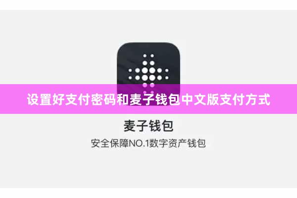 设置好支付密码和麦子钱包中文版支付方式