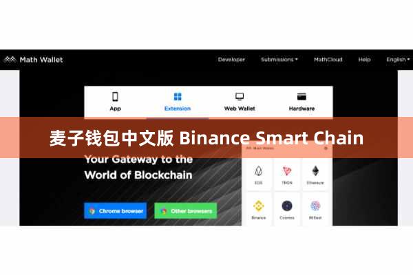 麦子钱包中文版 Binance Smart Chain