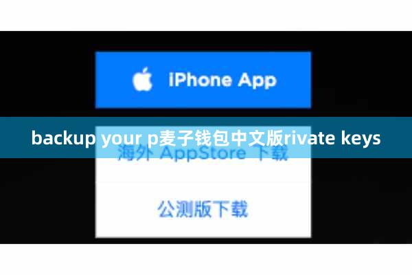 backup your p麦子钱包中文版rivate keys