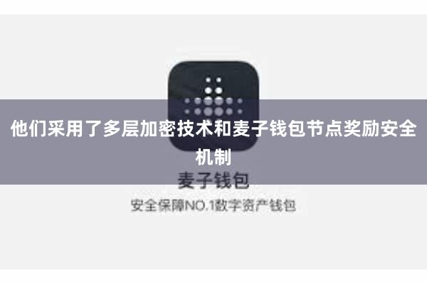 他们采用了多层加密技术和麦子钱包节点奖励安全机制
