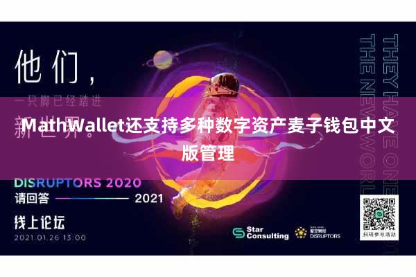 MathWallet还支持多种数字资产麦子钱包中文版管理